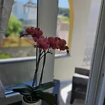Il Portico 4*