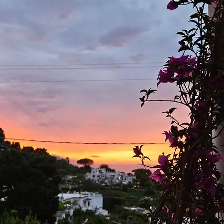 住宿加早餐酒店 Il Portico 卡普里